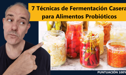 7 Técnicas de Fermentación Casera para Alimentos Probióticos