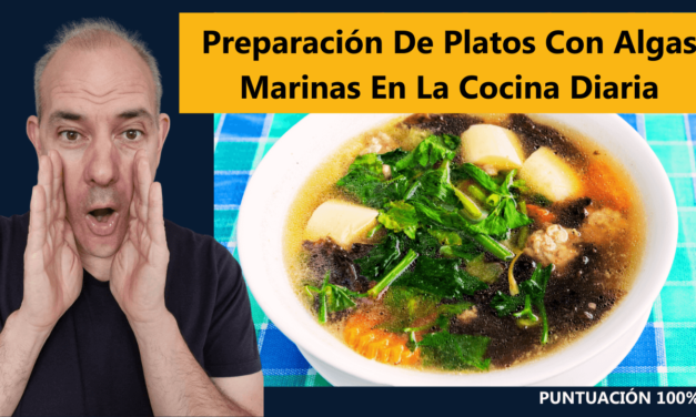 Preparación De Platos Con Algas Marinas En La Cocina Diaria