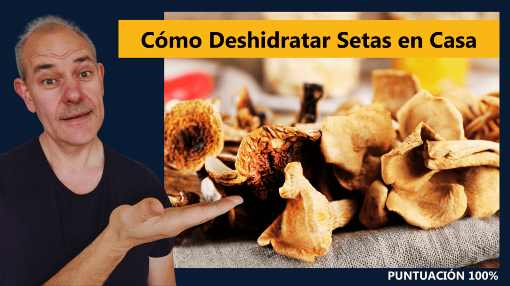 Cómo Deshidratar Setas En Casa