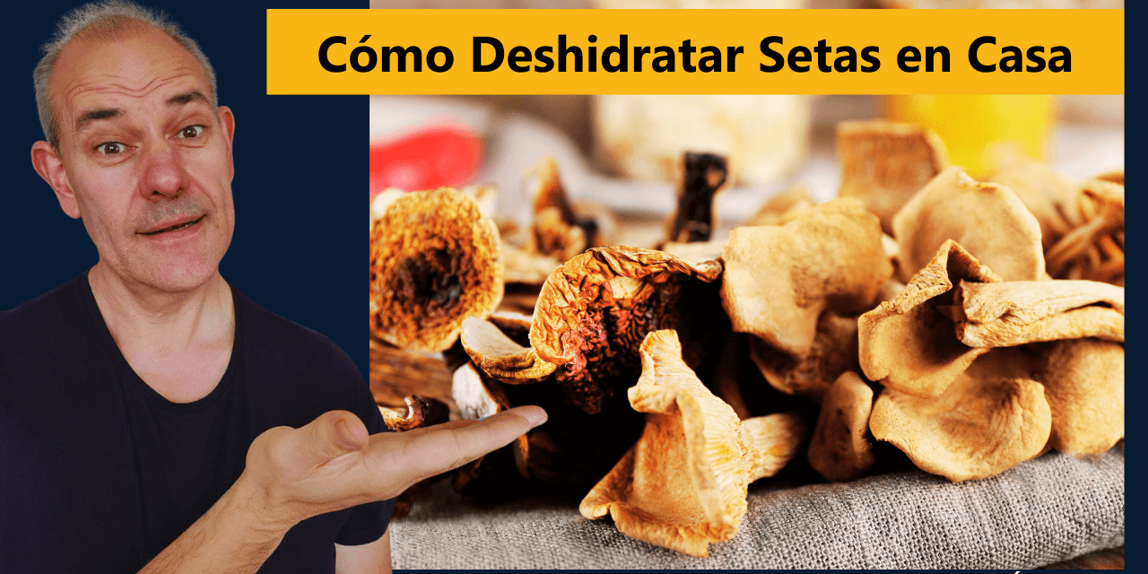 Cómo Deshidratar Setas en Casa