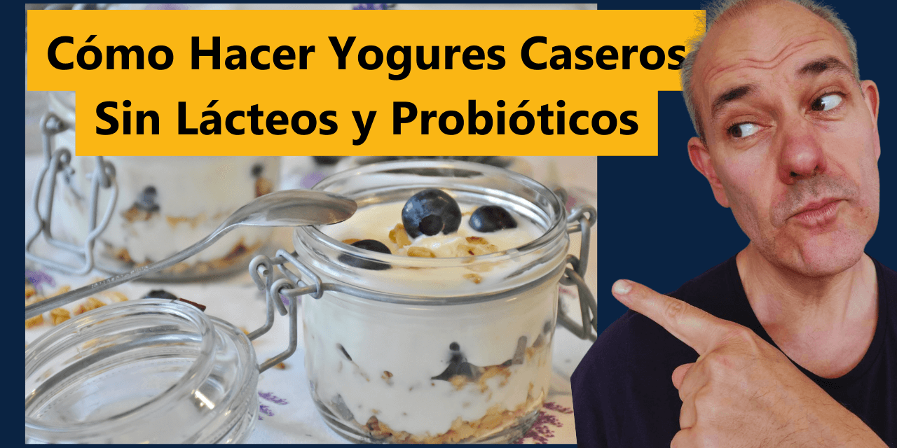 Cómo Hacer Yogures Caseros Sin Lácteos y Probióticos