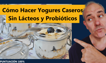 Cómo Hacer Yogures Caseros Sin Lácteos y Probióticos