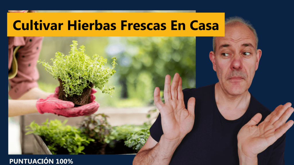 Cultivar Hierbas Frescas En Casa