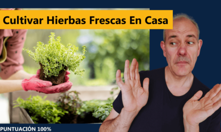 Cultivar Hierbas Frescas En Casa